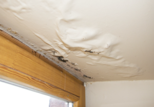 Water Damage Around Window